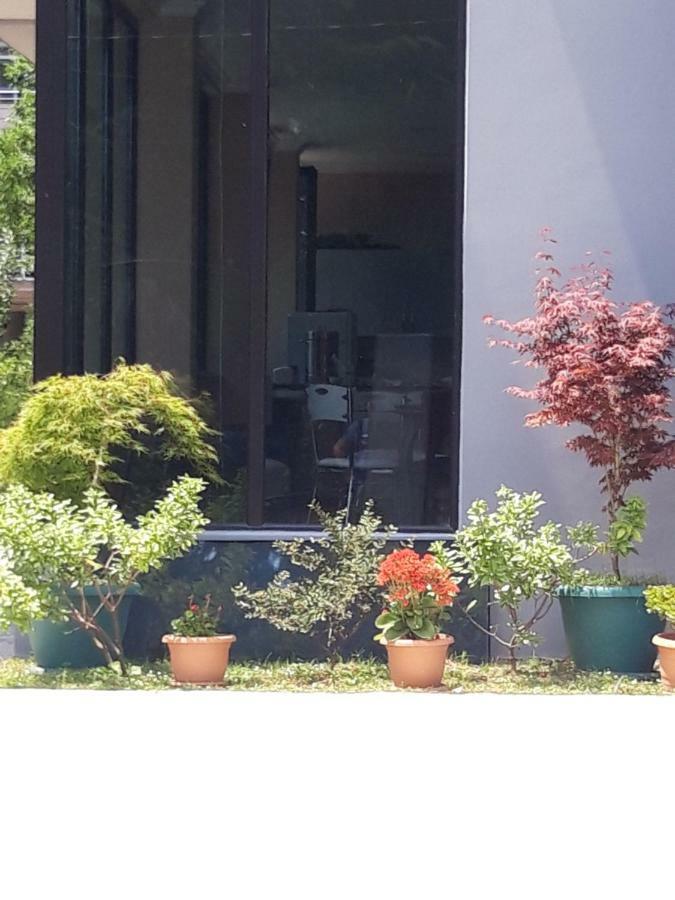 Cozy House Hotel Kobuleti Exterior foto